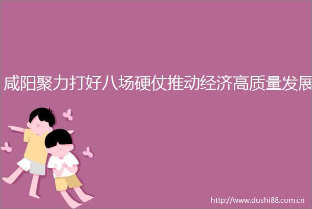 咸阳聚力打好八场硬仗推动经济高质量发展