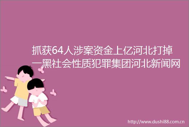 抓获64人涉案资金上亿河北打掉一黑社会性质集团河北新闻网