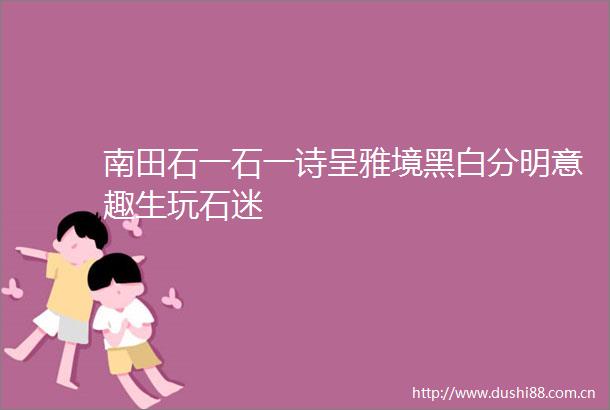 南田石一石一诗呈雅境黑白分明意趣生玩石迷