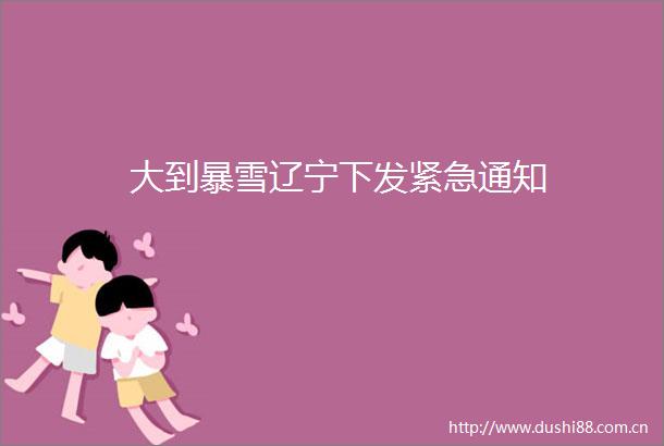 大到暴雪辽宁下发紧急通知