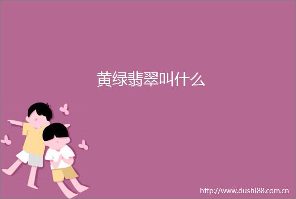 黄绿翡翠叫什么