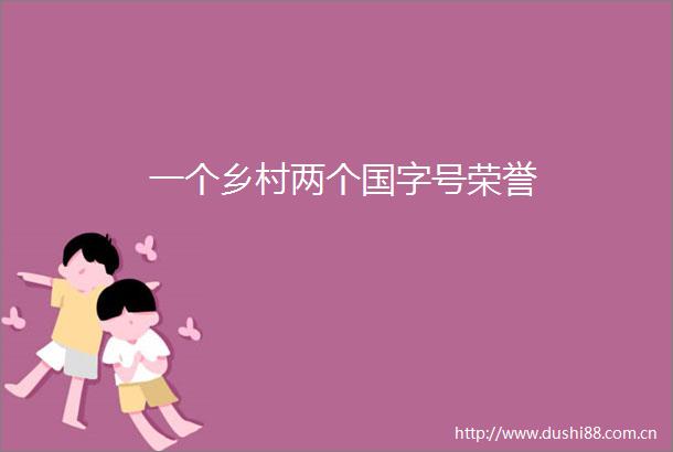 一个乡村两个国字号荣誉
