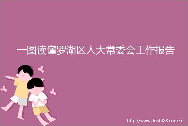一图读懂罗湖区人大常委会工作报告