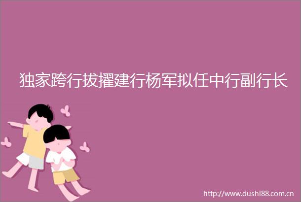 独家跨行拔擢建行杨军拟任中行副行长