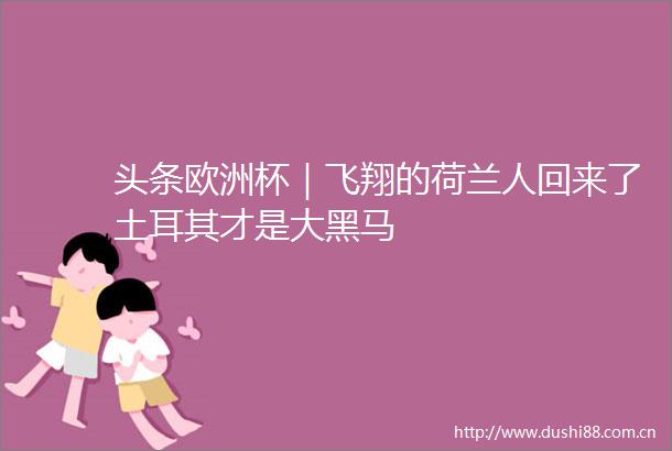 头条欧洲杯｜飞翔的荷兰人回来了土耳其才是大黑马