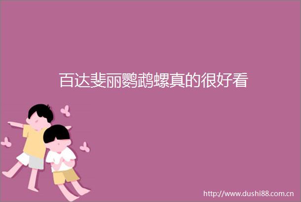 百达斐丽鹦鹉螺真的很好看
