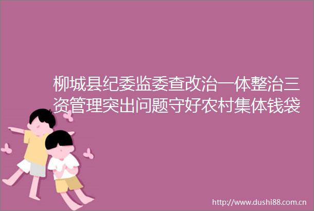 柳城县纪委监委查改治一体整治三资管理突出问题守好农村集体钱袋子