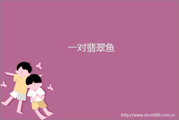 一对翡翠鱼