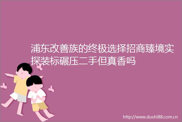 浦东改善族的终极选择招商臻境实探装标碾压二手但真香吗