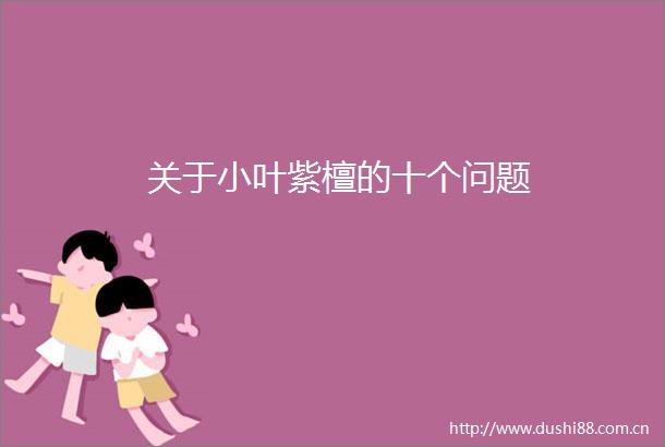 关于小叶紫檀的十个问题