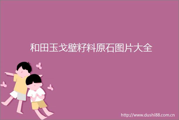 和田玉戈壁籽料原石图片大全
