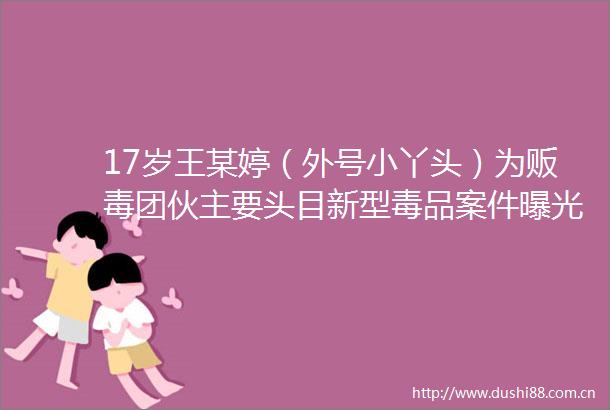 17岁王某婷（外号小丫头）为贩毒团伙主要头目新型毒品案件