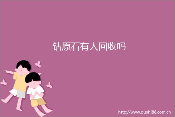 钻原石有人回收吗
