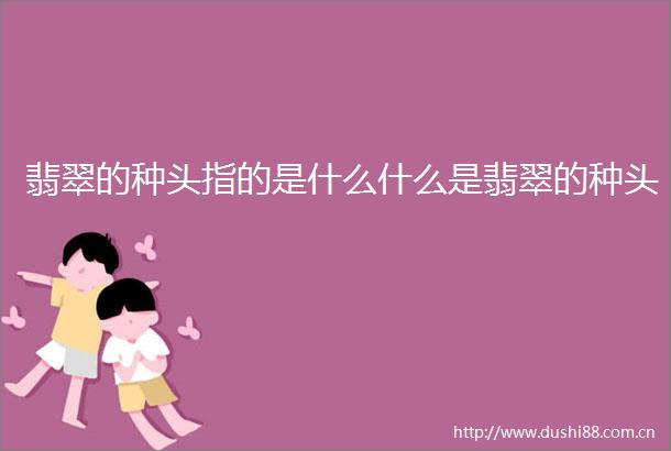 翡翠的种头指的是什么什么是翡翠的种头