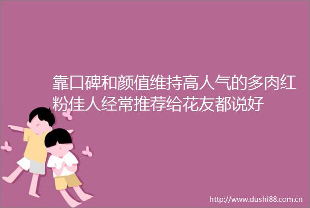 靠口碑和颜值维持高人气的多肉红粉佳人经常推荐给花友都说好
