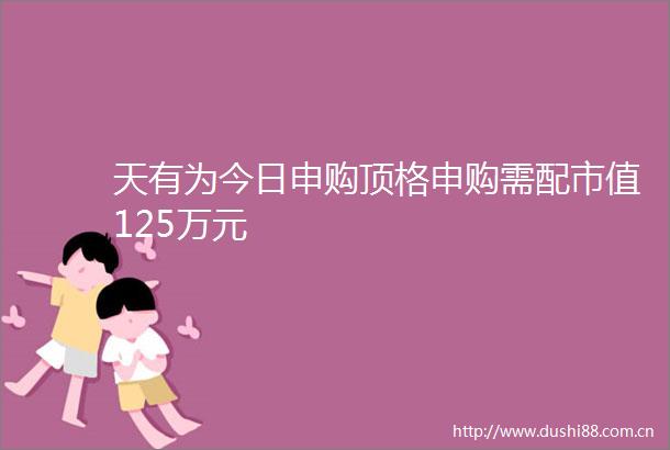 天有为今日申购顶格申购需配市值125万元