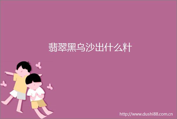 翡翠黑乌沙出什么籵