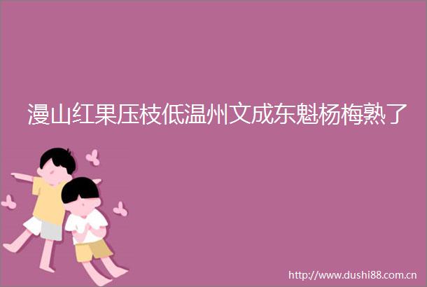 漫山红果压枝低温州文成东魁杨梅熟了