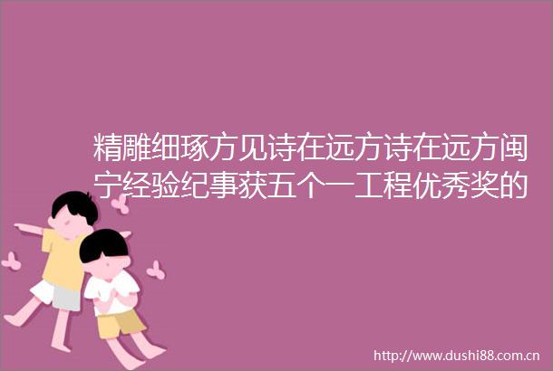 精雕细琢方见诗在远方诗在远方闽宁经验纪事获五个一工程优秀奖的背后
