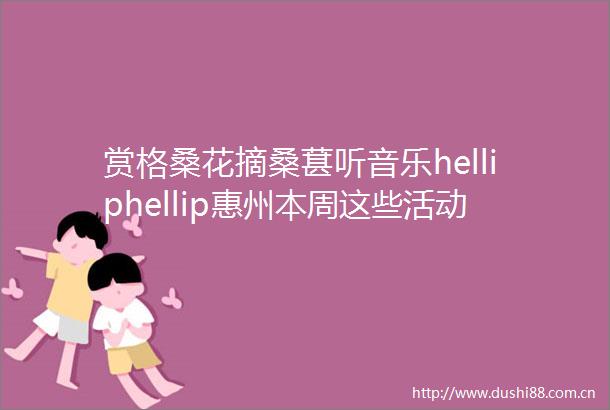 赏格桑花摘桑葚听音乐helliphellip惠州本周这些活动你想去哪个