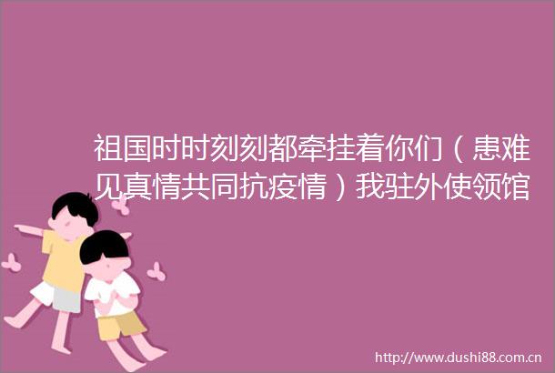 祖国时时刻刻都牵挂着你们（患难见真情共同抗疫情）我驻外使领馆积极帮助海外留学生解决困难