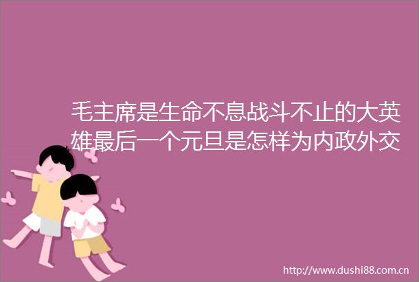 毛是生命不息战斗不止的大英雄最后一个元旦是怎样为内政外交而拼搏的会见一对美国青年有何深意