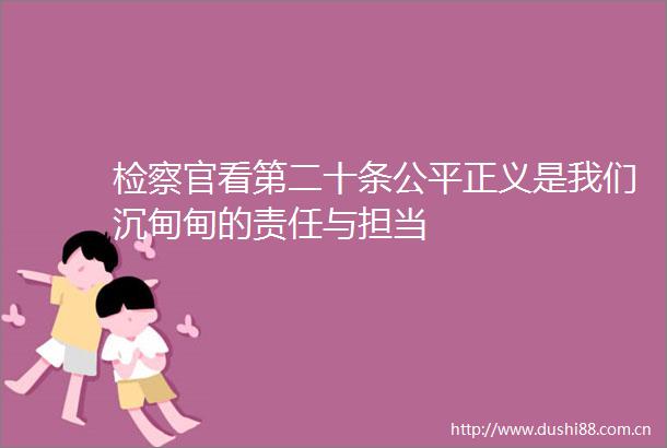 检察官看第二十条公平正义是我们沉甸甸的责任与担当