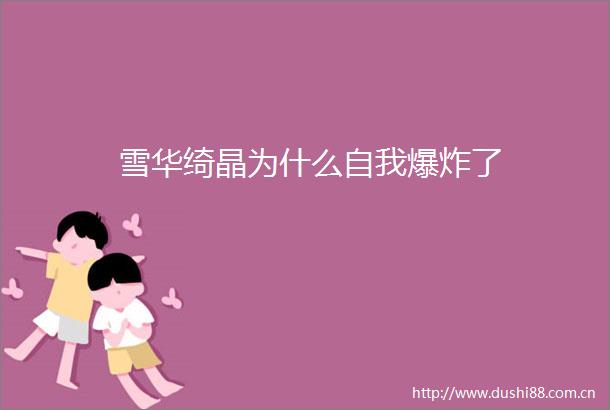 雪华绮晶为什么自我了