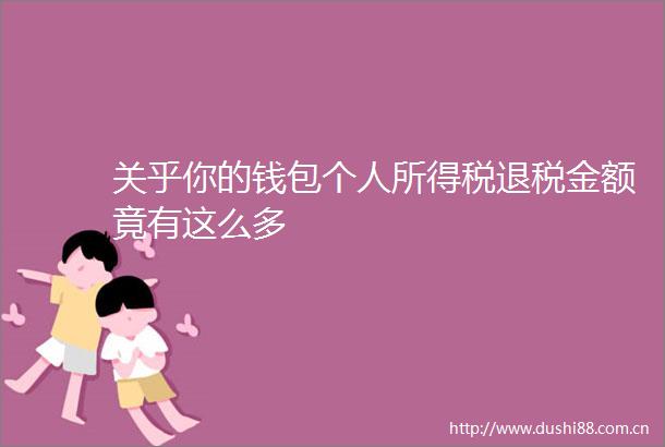关乎你的钱包个人所得税退税金额竟有这么多