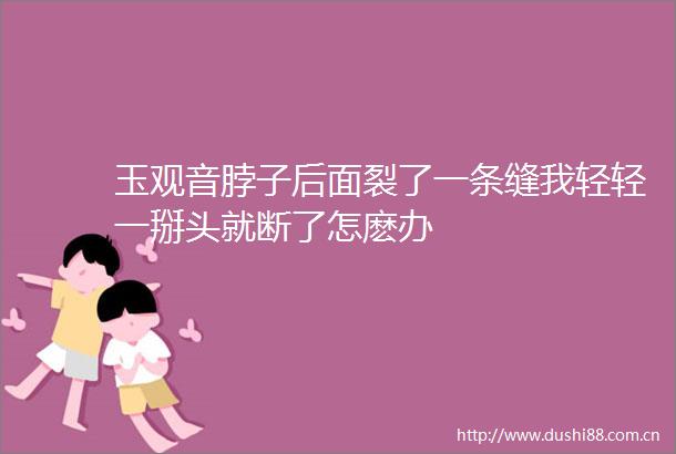 玉观音脖子后面裂了一条缝我轻轻一掰头就断了怎麽办