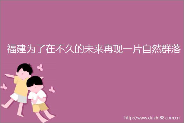 福建为了在不久的未来再现一片自然群落