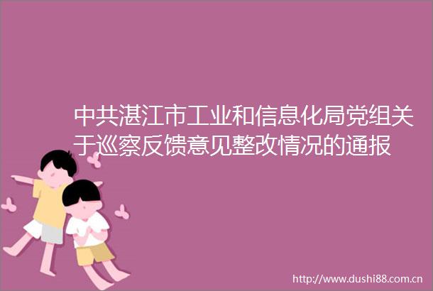 湛江市工业和信息化局党组关于巡察反馈意见整改情况的通报