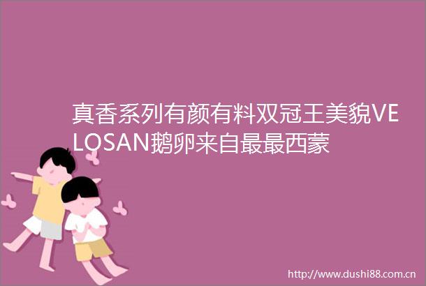 真香系列有颜有料双冠王美貌VELOSAN鹅卵来自最最西蒙