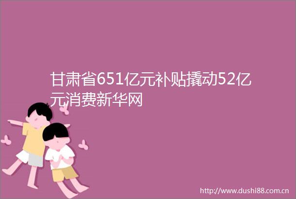 甘肃省651亿元补贴撬动52亿元消费新华网