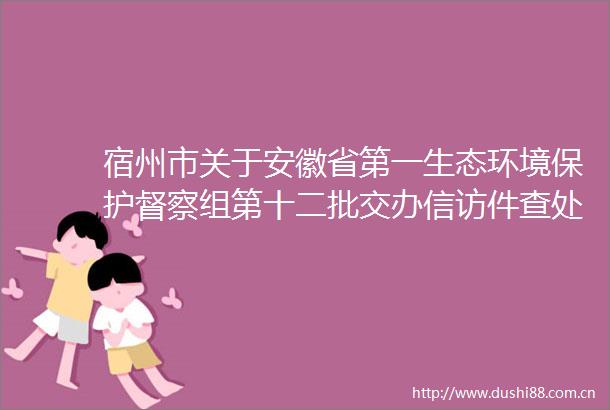 宿州市关于安徽省第一生态环境保护督察组第十二批交办件查处情况的公示