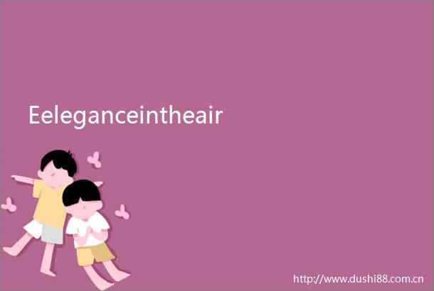 Eeleganceintheair
