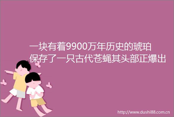 一块有着9900万年历史的琥珀保存了一只古代苍蝇其头部正爆出蘑菇状的真菌子实体