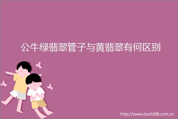 公牛绿翡翠管子与黄翡翠有何区别
