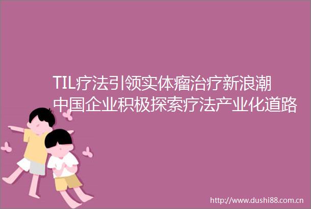TIL疗法引领实体瘤治疗新浪潮企业积极探索疗法产业化道路
