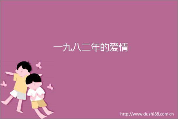 一九八二年的爱情