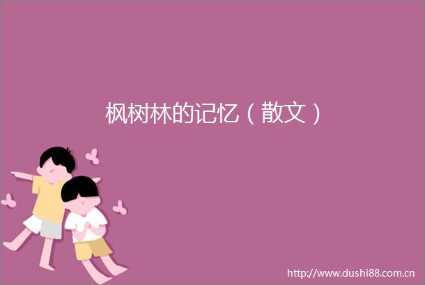枫树林的记忆（散文）