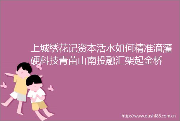 上城绣花记资本活水如何精准滴灌硬科技青苗山南投融汇架起金桥