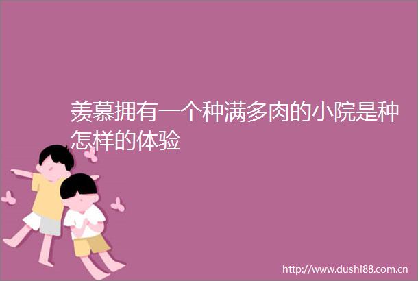 羡慕拥有一个种满多肉的小院是种怎样的体验