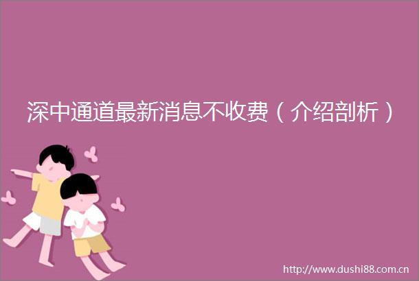 深中通道最新消息不收费（介绍剖析）
