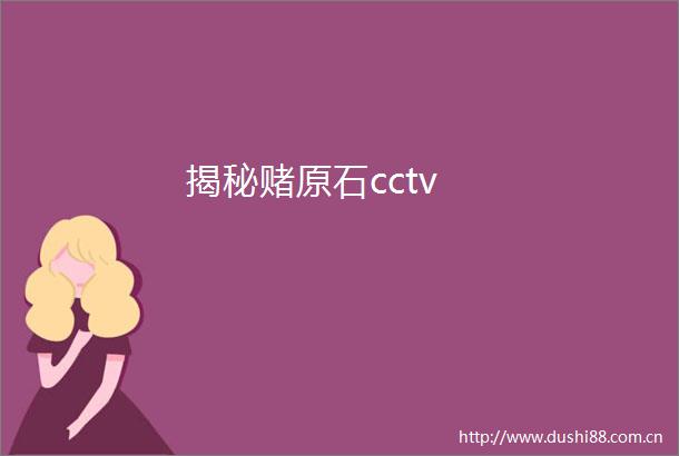 揭秘赌原石cctv