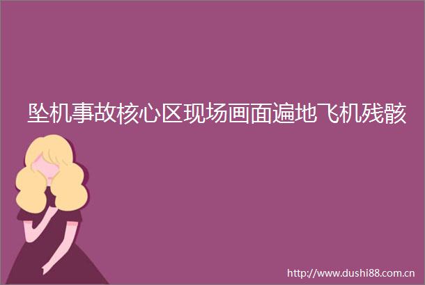 坠机事故核心区现场画面遍地飞机残骸