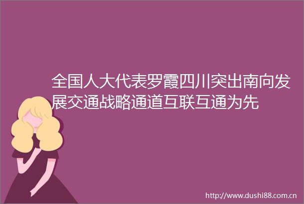 全国人大代表罗霞四川突出南向发展交通战略通道互联互通为先