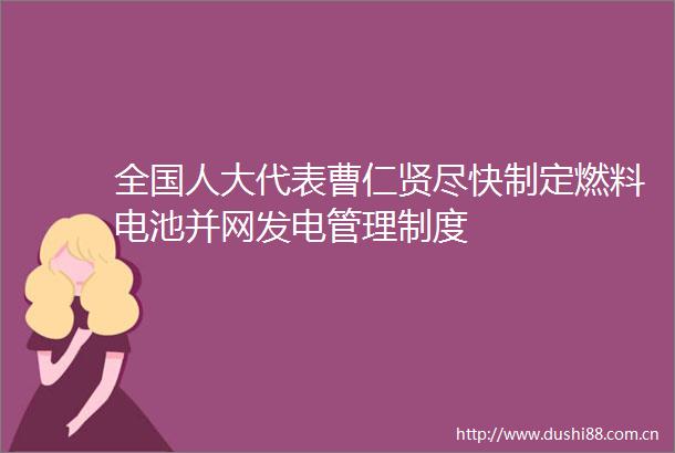 全国人大代表曹仁贤尽快制定燃料电池并网发电管理制度