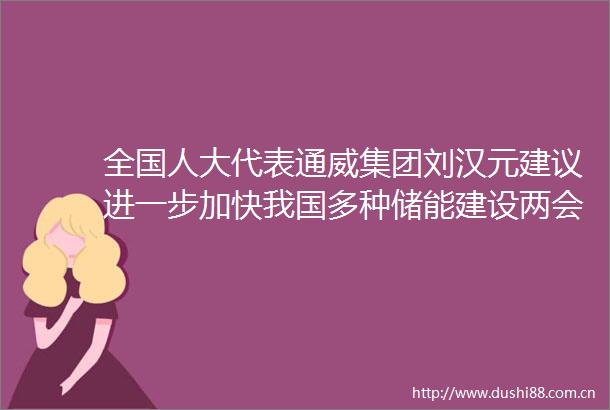 全国人大代表通威集团刘汉元建议进一步加快我国多种储能建设两会前瞻