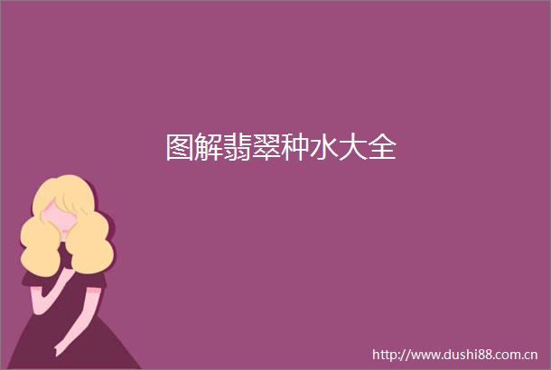 图解翡翠种水大全